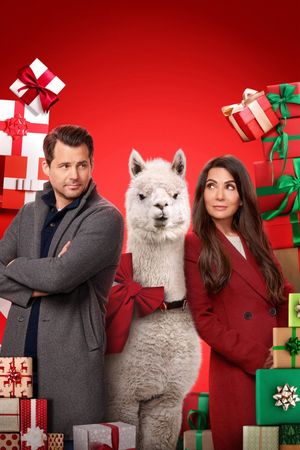 We Wish You a Married Christmas's poster