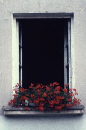 to open a window's poster