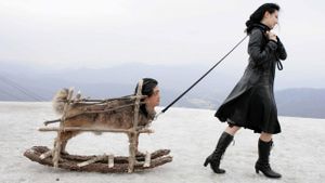 Lady Vengeance's poster