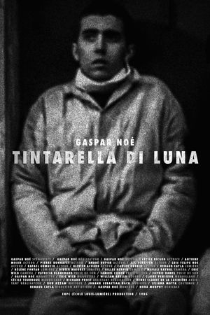 Tintarella di luna's poster