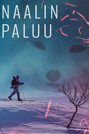 Naalin paluu's poster