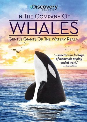 In the Company of Whales's poster