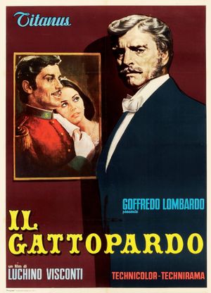 The Leopard's poster