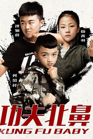 Kung Fu Baby's poster