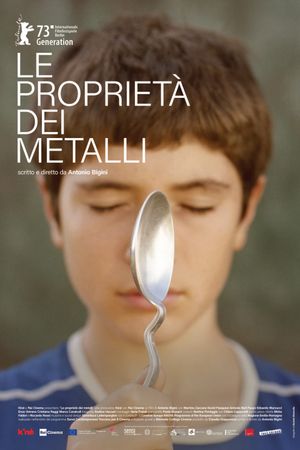 The Properties of Metals's poster