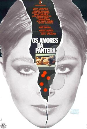 Os Amores da Pantera's poster