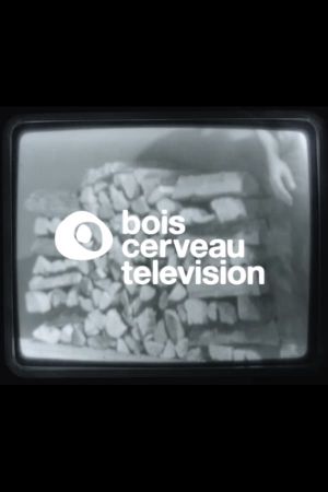 BOIS CERVEAU TV (1)'s poster