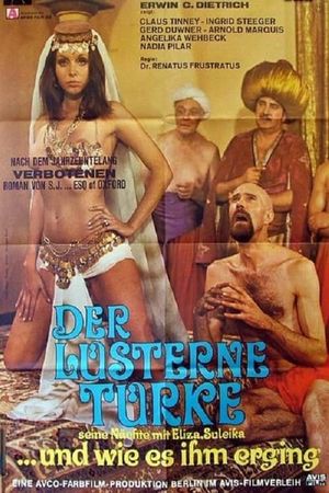 Der lüsterne Türke's poster