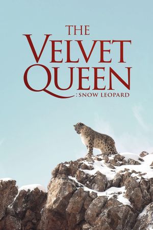 The Velvet Queen's poster