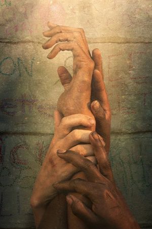 Trees of Peace's poster