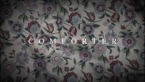 Comforter's poster