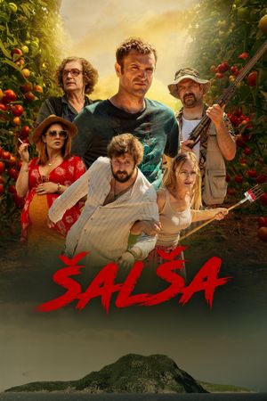 Salsa's poster