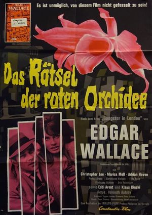 Secret of the Red Orchid's poster