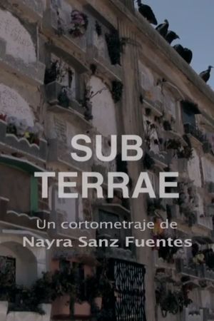 Sub Terrae's poster