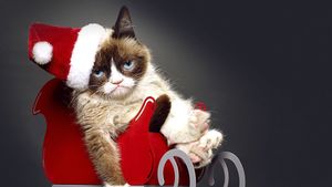 Grumpy Cat's Worst Christmas Ever's poster