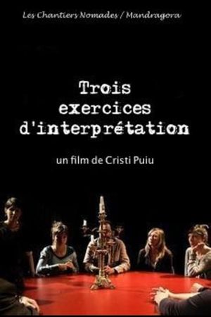 Three Exercises of Interpretation's poster