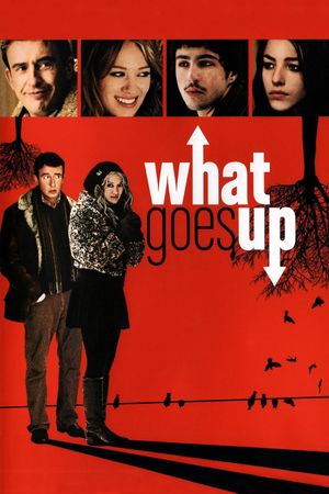 What Goes Up's poster