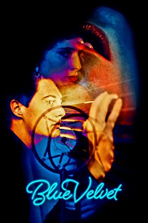 Blue Velvet's poster