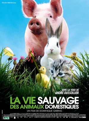 La vie sauvage des animaux domestiques's poster image