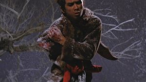 One-Armed Swordsman's poster