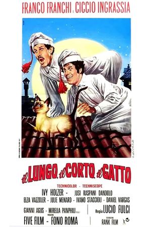 Il lungo, il corto, il gatto's poster