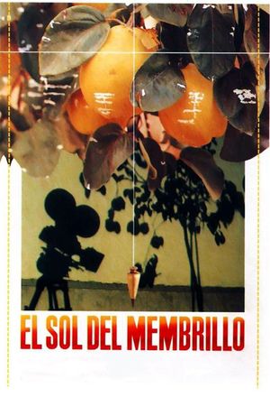 Dream of Light's poster