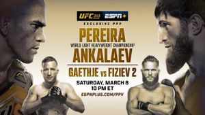 UFC 313: Pereira vs. Ankalaev's poster