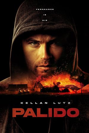 Due Justice's poster