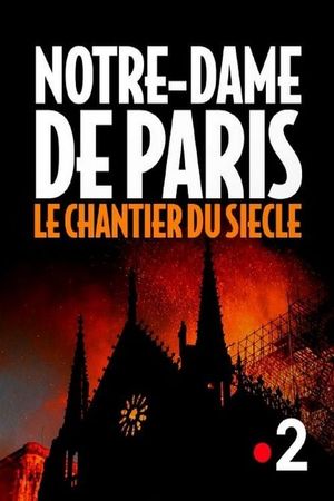 Notre-Dame de Paris, le chantier du siècle's poster image