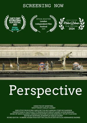 Perspective's poster