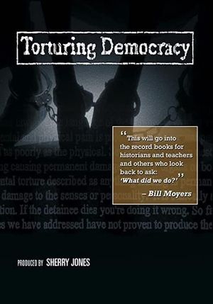 Torturing Democracy's poster