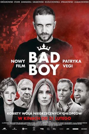 Bad Boy's poster