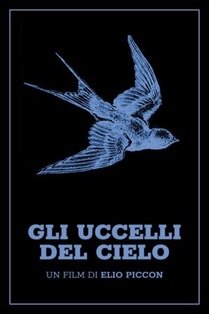 Gli uccelli del cielo's poster