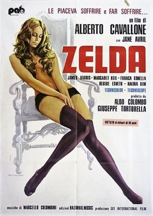 Zelda's poster