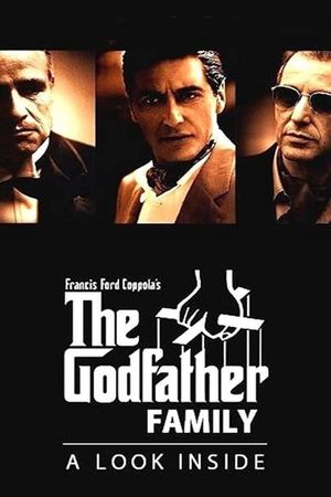 The Godfather Family: A Look Inside's poster