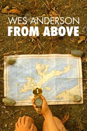 Wes Anderson: From Above's poster