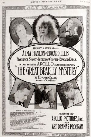 The Great Bradley Mystery's poster