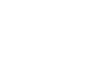 The Dark Horse's poster