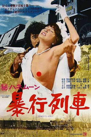 Secret Honeymoon: Rape Train's poster