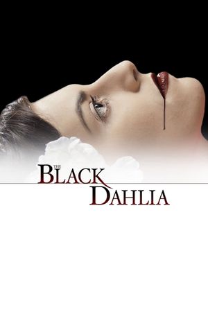 The Black Dahlia's poster