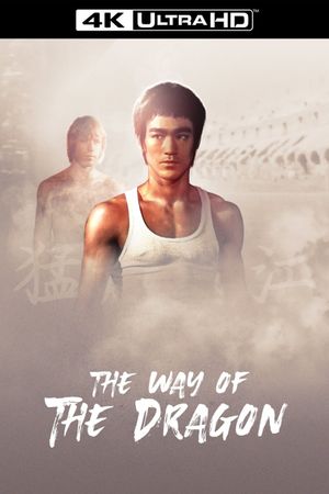 The Way of the Dragon's poster