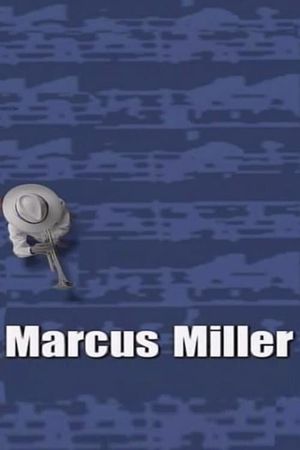 Marcus Miller - AVO Session's poster