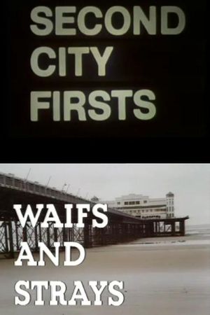 Waifs and Strays's poster
