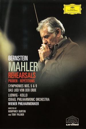 Bernstein Mahler Rehearsal's poster image