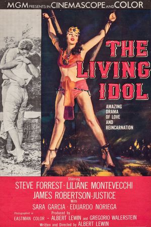 The Living Idol's poster