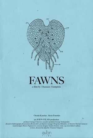 Fawns's poster