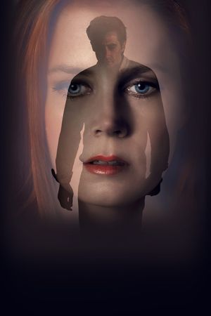 Nocturnal Animals's poster