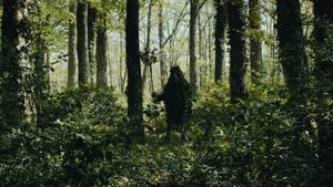 Trees's poster