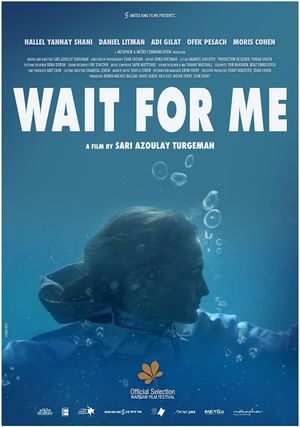 Wait for Me's poster