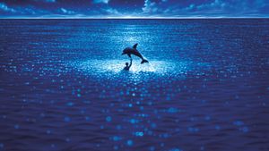 The Big Blue's poster